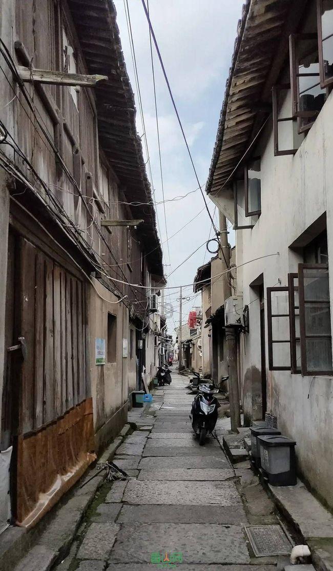 漂亮鹦鹉救援